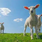 Kontakt Treffen wir uns persönlich