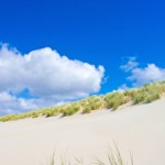 Dünenlandschaft Agentur-Management