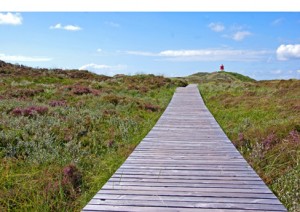 Erwerbsunfähigkeitsversicherung