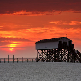 Sven Riemann Maklerbetreuer Pflege – Vorsorge & bAV-Experte Immobilienfinanzierung